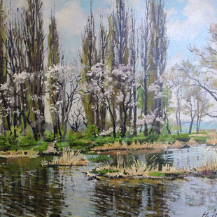 "Кубань". Холст, масло. Размер 30х40.